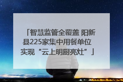 智慧监管全覆盖 阳新县225家集中用餐单位实现“云上明厨亮灶”