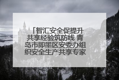 智汇安全促提升 共享经验筑防线 青岛市即墨区安委办组织安全生产共享专家现场观摩学习活动