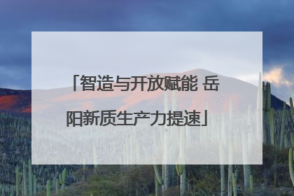 智造与开放赋能 岳阳新质生产力提速