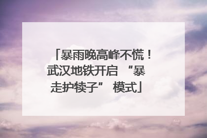 暴雨晚高峰不慌！武汉地铁开启 “暴走护犊子” 模式