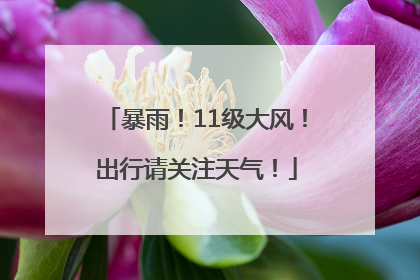 暴雨！11级大风！出行请关注天气！