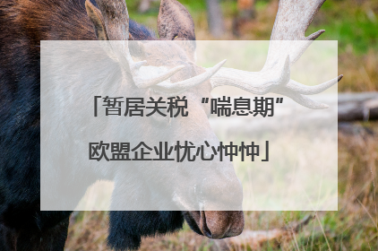 暂居关税“喘息期” 欧盟企业忧心忡忡