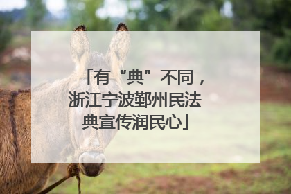 有“典”不同，浙江宁波鄞州民法典宣传润民心