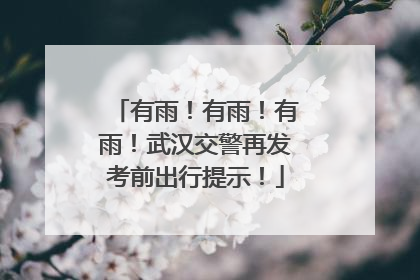 有雨！有雨！有雨！武汉交警再发考前出行提示！