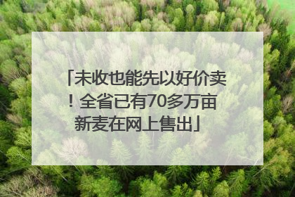 未收也能先以好价卖！全省已有70多万亩新麦在网上售出