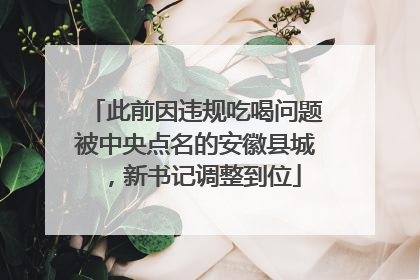 此前因违规吃喝问题被中央点名的安徽县城，新书记调整到位