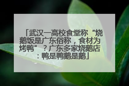 武汉一高校食堂称“烧鹅饭是广东俗称，食材为烤鸭”？广东多家烧鹅店：鸭是鸭鹅是鹅