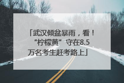 武汉倾盆暴雨，看！“柠檬黄”守在8.5万名考生赶考路上