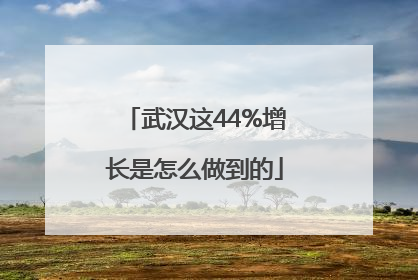 武汉这44%增长是怎么做到的