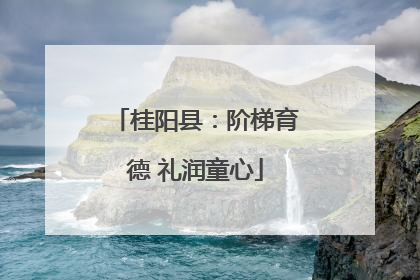 桂阳县：阶梯育德 礼润童心