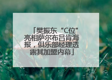 樊振东“C位”亮相萨尔布吕肯海报，俱乐部经理透露其加盟内幕