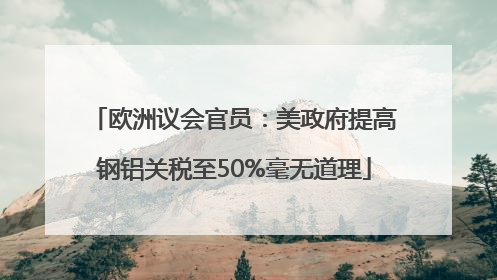 欧洲议会官员：美政府提高钢铝关税至50%毫无道理