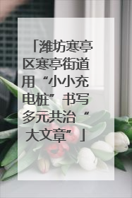 潍坊寒亭区寒亭街道用“小小充电桩”书写多元共治“大文章”