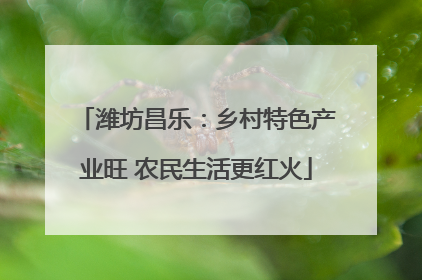 潍坊昌乐：乡村特色产业旺 农民生活更红火