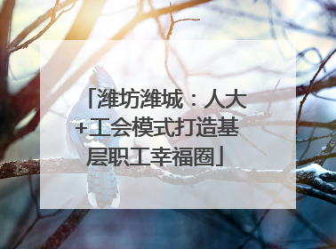 潍坊潍城：人大+工会模式打造基层职工幸福圈