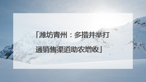 潍坊青州：多措并举打通销售渠道助农增收