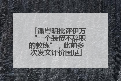 潘粤明批评伊万“一个装傻不辞职的教练”，此前多次发文评价国足