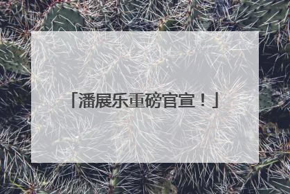 潘展乐重磅官宣！