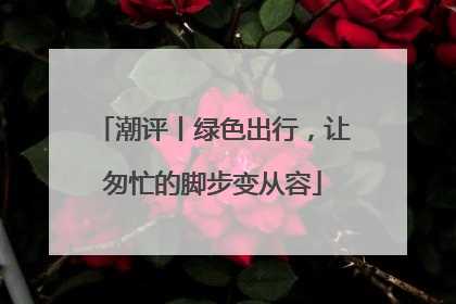 潮评丨绿色出行，让匆忙的脚步变从容