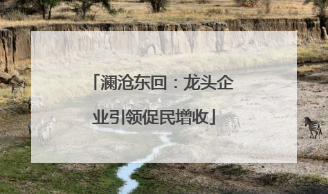 澜沧东回：龙头企业引领促民增收