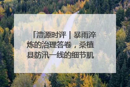 澧源时评｜暴雨淬炼的治理答卷，桑植县防汛一线的细节肌理与体系力量