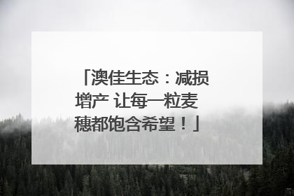 澳佳生态：减损增产 让每一粒麦穗都饱含希望！