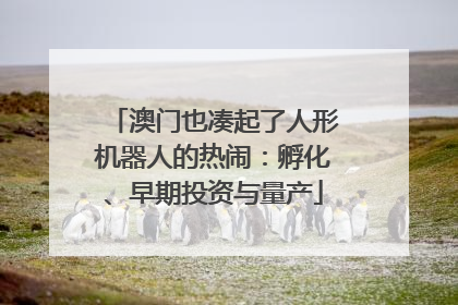 澳门也凑起了人形机器人的热闹：孵化、早期投资与量产