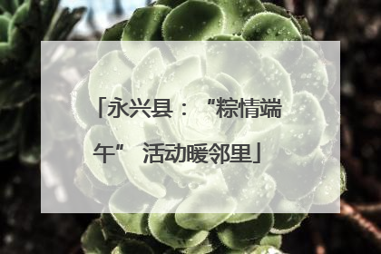 永兴县：“粽情端午” 活动暖邻里