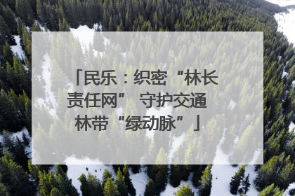 民乐：织密“林长责任网” 守护交通林带“绿动脉”