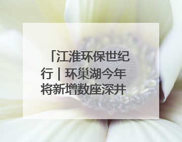 江淮环保世纪行｜环巢湖今年将新增数座深井控藻平台