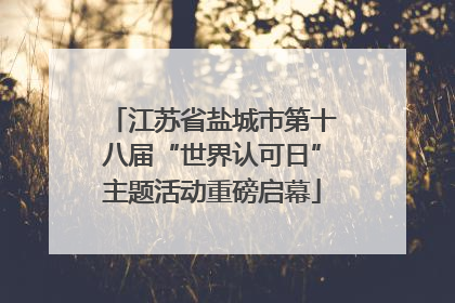 江苏省盐城市第十八届“世界认可日”主题活动重磅启幕