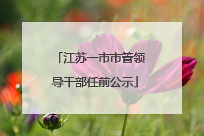 江苏一市市管领导干部任前公示