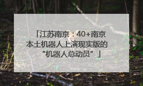 江苏南京：40+南京本土机器人上演现实版的“机器人总动员”