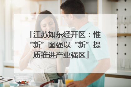江苏如东经开区：惟“新”图强以“新”提质推进产业强区