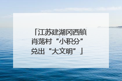 江苏建湖冈西镇肖荡村“小积分”兑出“大文明”
