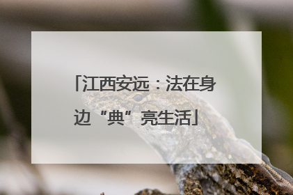 江西安远：法在身边“典”亮生活