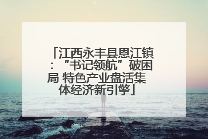 江西永丰县恩江镇：“书记领航”破困局 特色产业盘活集体经济新引擎
