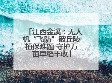 江西金溪：无人机“飞防”破丘陵植保难题 守护万亩早稻丰收