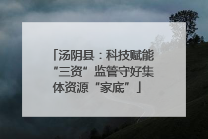 汤阴县：科技赋能“三资”监管守好集体资源“家底”
