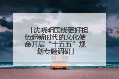 沈晓明围绕更好担负起新时代的文化使命开展“十五五”规划专题调研