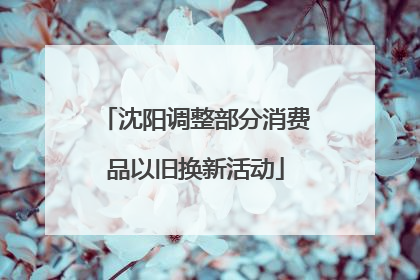 沈阳调整部分消费品以旧换新活动
