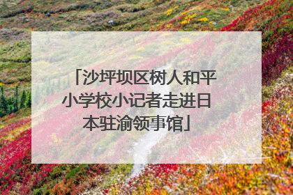 沙坪坝区树人和平小学校小记者走进日本驻渝领事馆