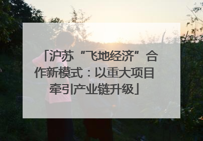 沪苏“飞地经济”合作新模式：以重大项目牵引产业链升级