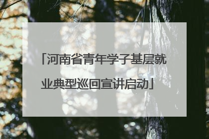 河南省青年学子基层就业典型巡回宣讲启动