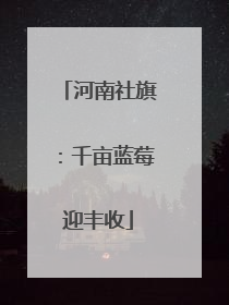 河南社旗：千亩蓝莓迎丰收