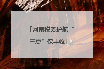 河南税务护航“三夏”保丰收