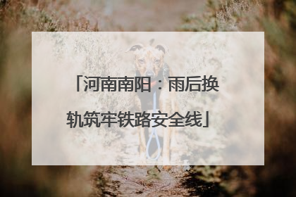 河南南阳：雨后换轨筑牢铁路安全线