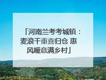 河南兰考考城镇：麦浪千重喜归仓 惠风暖意满乡村