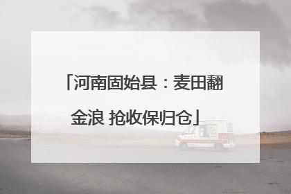 河南固始县：麦田翻金浪 抢收保归仓