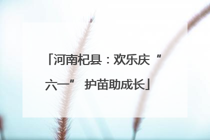 河南杞县：欢乐庆“六一” 护苗助成长